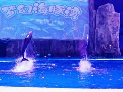 -华夏文旅海洋公园