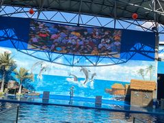 -石林冰雪海洋世界