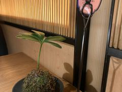 -桃姐农庄老字号(从化温泉店)