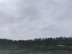 -合肥滨湖国家森林公园