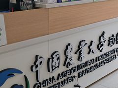 -中国农业大学动物医院