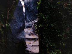 -同庆堂(解放北路店)