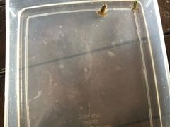 -洪湖家庭农场·团建·露营·会议