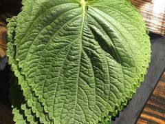 -范儿·嫂子烤肉·精致炭火烤肉(长治路店)