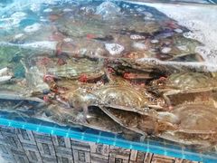 -蓝珊甄选海鲜自助·火锅大排档(近阿那亚店)