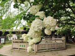 -常熟方塔园