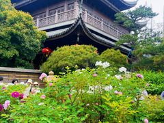-龙华寺