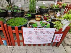-荔湾湖公园