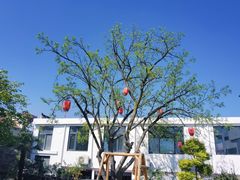 -恋山坝上草原