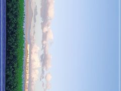 -深圳湾公园-停车场