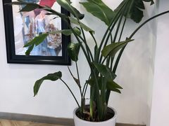 -PETIT PARIS 小巴黎(凯德1818店)