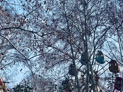 -泰州凤城河风景区-泰山公园