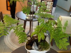 -颐润堂专业养生(五道口华清商务会馆店)