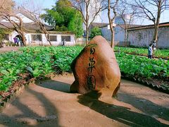 -绍兴鲁迅故里·沈园景区