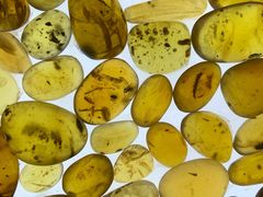 -湖南省地质博物馆