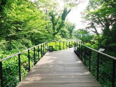 -济州森林小火车生态公园