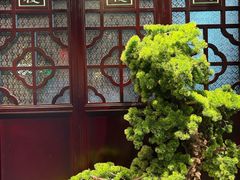 -悦满楼·西关名点·湛江名菜(航空综合大厦店)