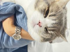 -喜多萌中农锦绣动物医院24H·猫科·牙科MRI·CT