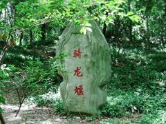 -上海佘山国家森林公园天马山园