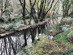 -上海共青森林公园