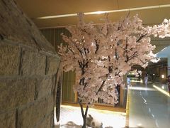 -嘉悦汗蒸时代(曙光路店)