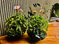 -一川二水•粤川醉(CP静安店)