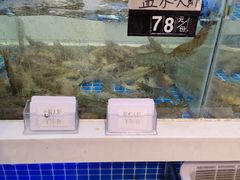 -大众海鲜(巨龙北路店)