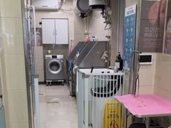 -北京观赏动物医院·24小时大型综合·猫专科·异宠专科