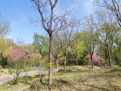 -莲花池公园