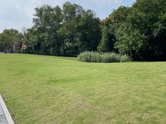 -亭林园-华藏寺