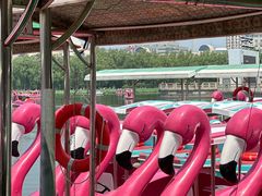 -莲花池公园