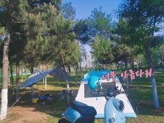 -丁香湖公园
