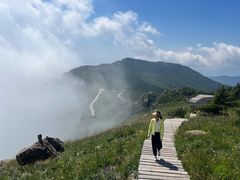 -白草畔自然风景区