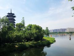 -洋湖国家湿地公园