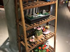 -新华书店(印象城店)