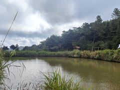 -鼓岭旅游度假区