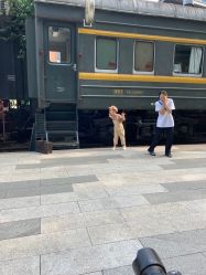 -宝贝家族国际影像馆(东郊记忆店)