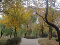 -元大都城垣遗址公园