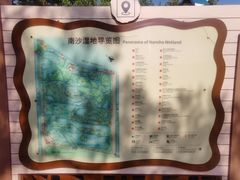 -大湾区中央湿地公园