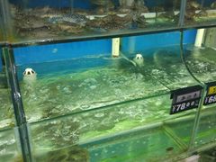 -北港方记海鲜楼·海景餐厅