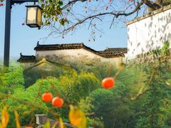 -塔川景区