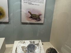 -辽宁古生物博物馆