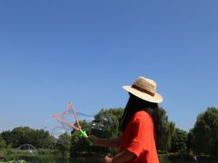 -望湖公园