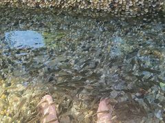 -融汇温泉