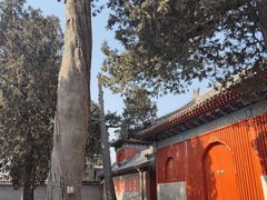 -承恩寺