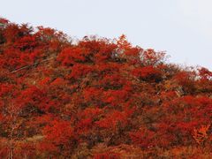 -水峪民俗村