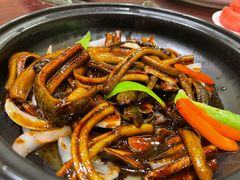 -花园国际大酒店(近大运河博物馆店)