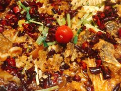 -老板恋上鱼(荣盛广场店)