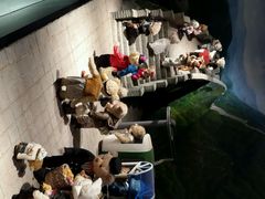 -成都泰迪熊博物馆