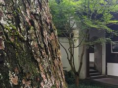 -北山街历史文化街区